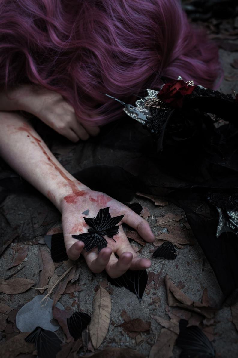 网红Coser@疯猫ss 化蝶 [60P775MB] - 图片8