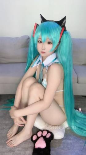 Seele麦麦 初音 [80P273MB]
